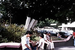 �N�G���i�o�J