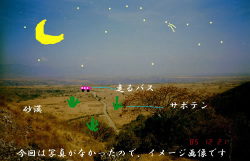 ��̃o�X�̋�z