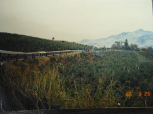 �W�����O���ƃ��C��